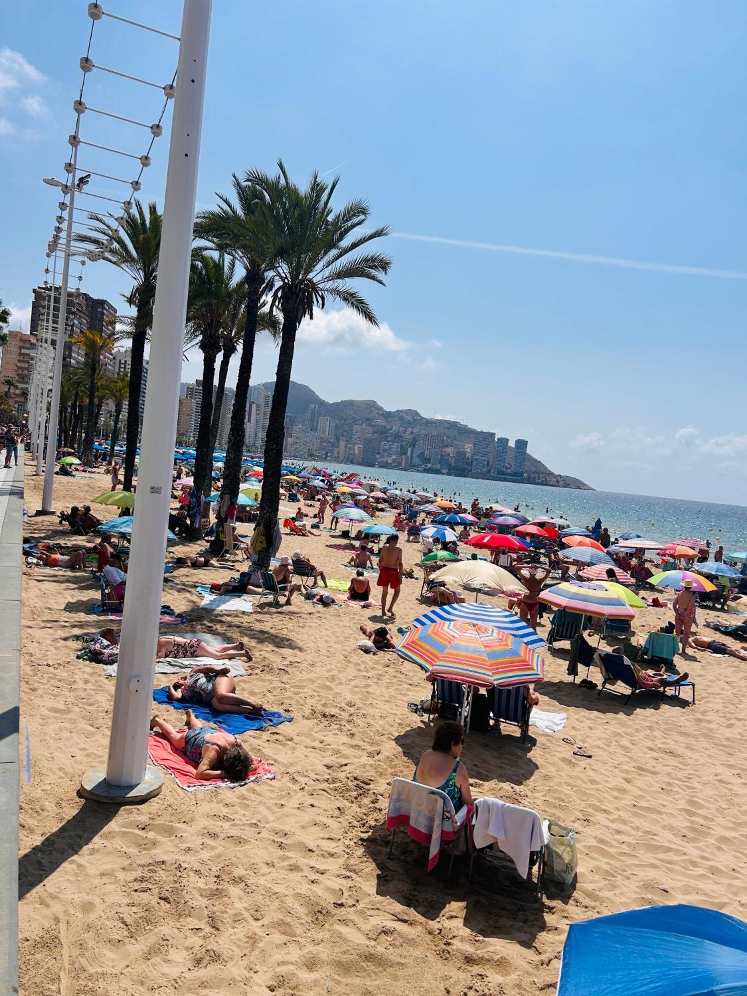 Alameda Centro * Benidorm